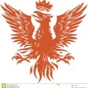 Bird’s Kingdom