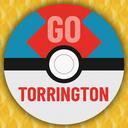 Torrington Go Discord Server Icon