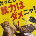 バルだんご