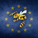 European Hornets