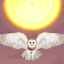 Owls Nest
