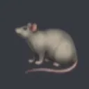 rat army