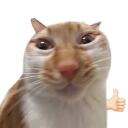 STABD Discord Server Icon