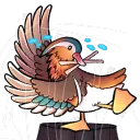 Quackserver