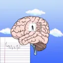 The Mind