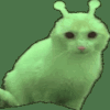 neural cat network