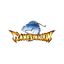 Flame Dragon Knights