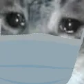 Jester 2022
