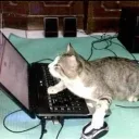 Clic Para Añadir Texto Discord Server Icon