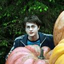 Harry Potter icon