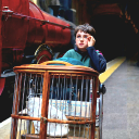 Discovery icon for Harry Potter Discord server
