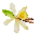 Vanilla Deluxe