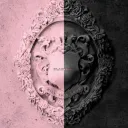 BLACKPINK BLINKS