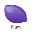 The Purple Plum Server [Closed]
