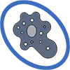 Amoeba Coin/AMBA
