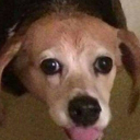 Bartholemews Fun House