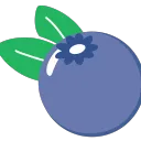 Berries