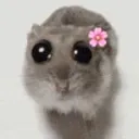 デカおきんたまクラブ