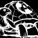 <The Nuke and Turtle>