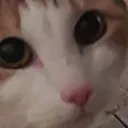 ΞZG CLΛN | Gaming Community