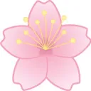 PinkPetal Discussions