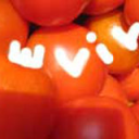 Tomatoes are Evil (Cats Are Good) Server Icon