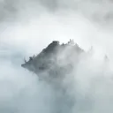 FOG