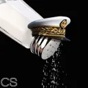 Salty's ship