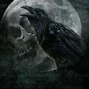 Crows Nest [CLM]
