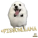 LlamaNation