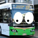 Bus Gang