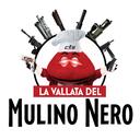 - IL MULINO NERO - Discord Server Icon