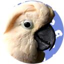 Parrot Town Discord Server Icon
