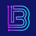 Bruisr