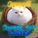 ⚡ВОРОНЯЧЕ ГНІЗДЕЧКО🏡