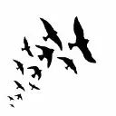 The Flock