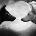 Archie & Dark's Hangout