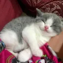 zzz