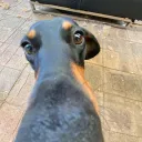 Lead Discord Server