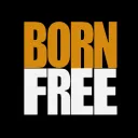 BornFreeFightClub