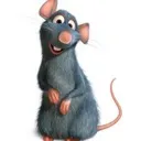 scrims