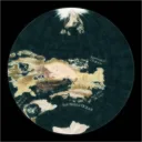 SporeWiki Fantasy Universe