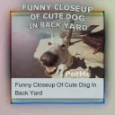 PotMe Discord
