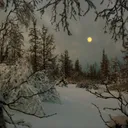 Warriors; The Stillness After The Storm