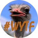 WYTF