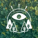 The Open Woods
