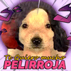 Releteam ® icon