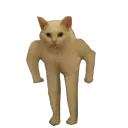 Aly's Discorb