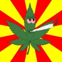 Starefossen Weed Catering