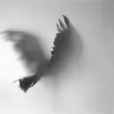 Ravenhedge RP